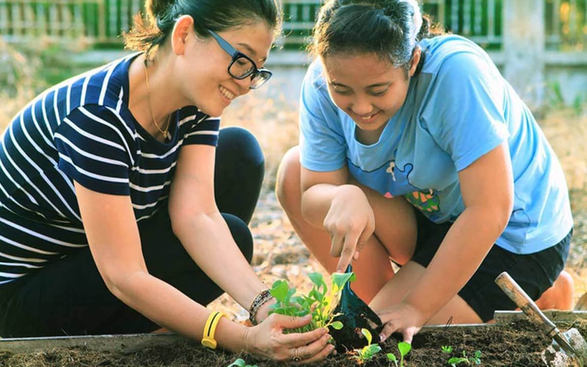 Ditching Tools Made Me a Happier Gardener