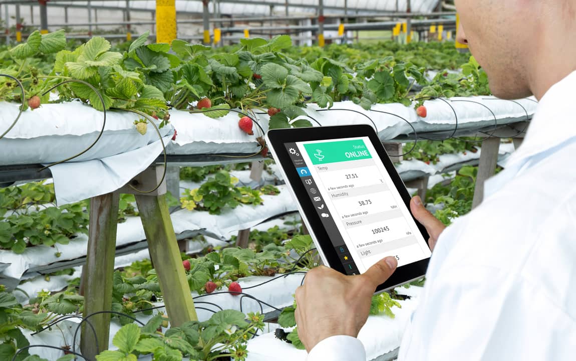 6 Methods to Prevent Water Problems