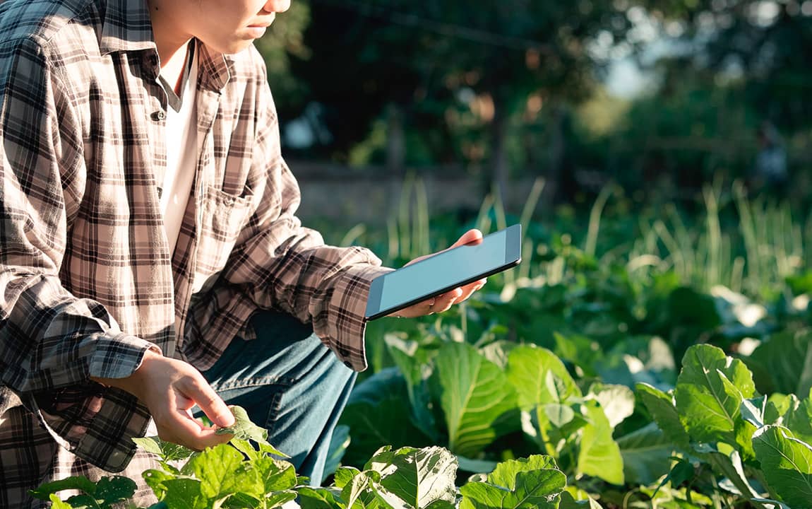 Landscaping: The Best Idea You’ve Ever Had